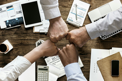 Oferta letrado junior